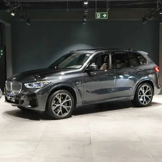 Bmw X5 xDrive45e M Sport 3.0 Híbrido (Aut)