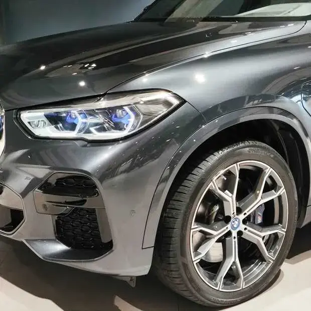 Bmw X5 xDrive45e M Sport 3.0 Híbrido (Aut)