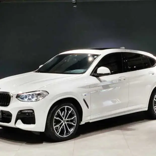 Bmw X4 xDrive30i M Sport 2.0 Turbo (Aut)