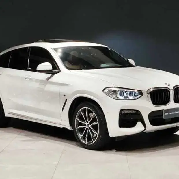 Bmw X4 xDrive30i M Sport 2.0 Turbo (Aut)