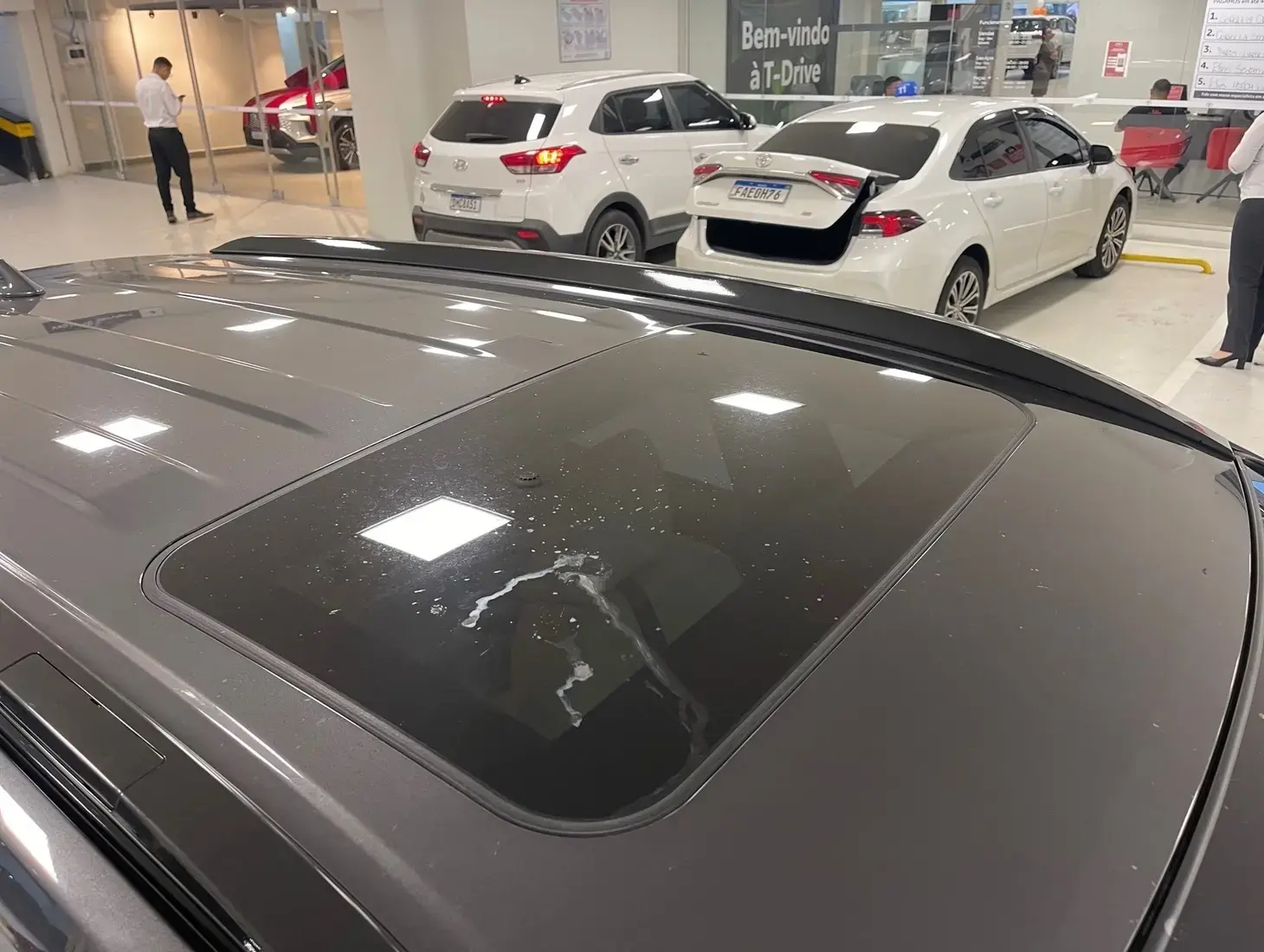 galeria Corolla Cross