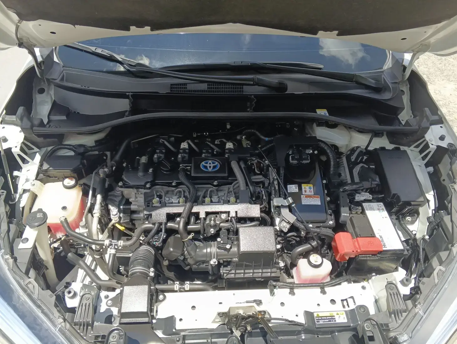 galeria Corolla Cross