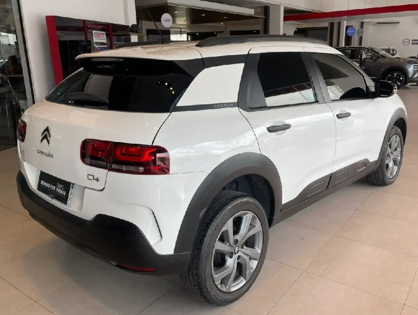 galeria C4 CACTUS