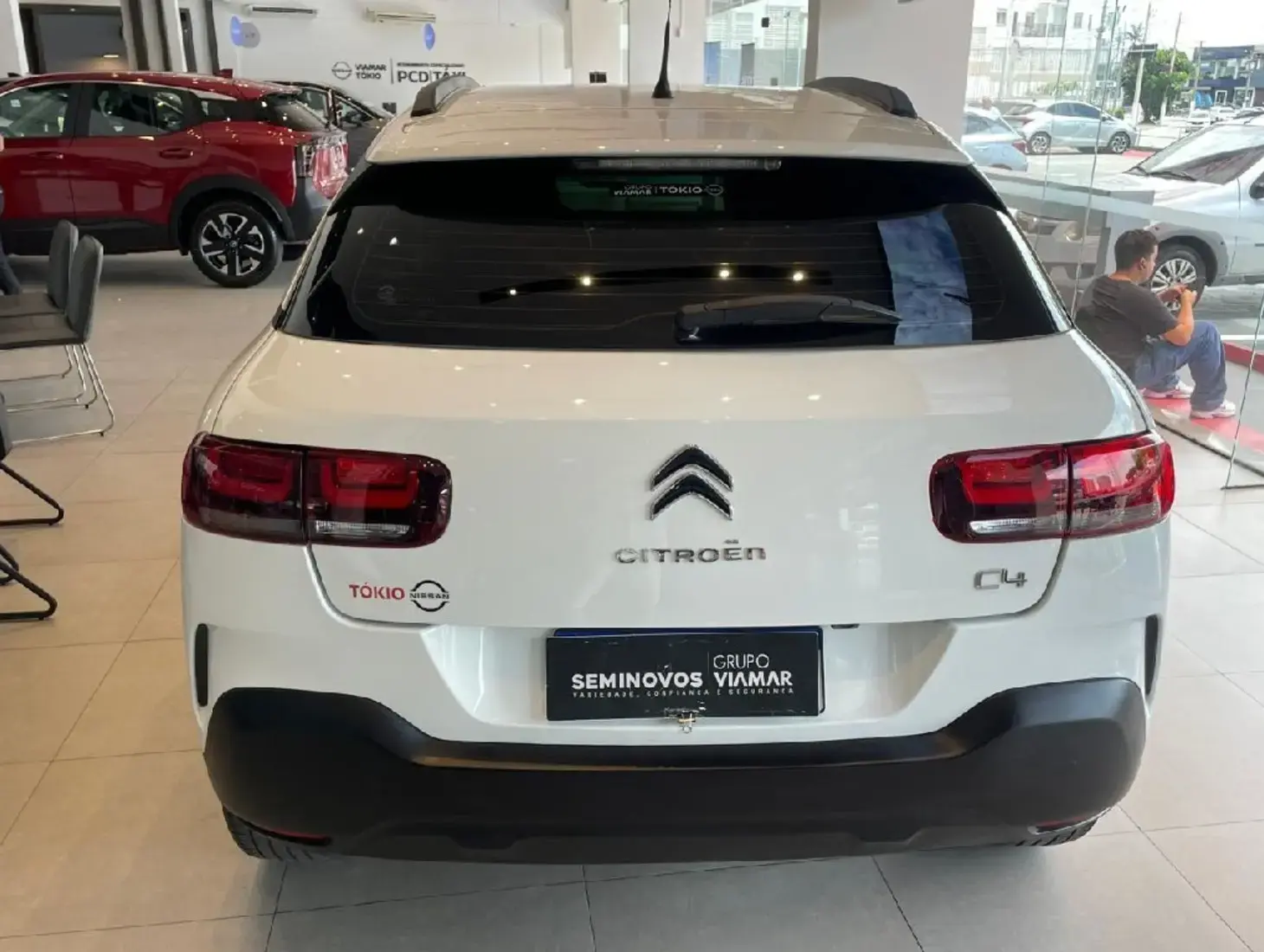 galeria C4 CACTUS