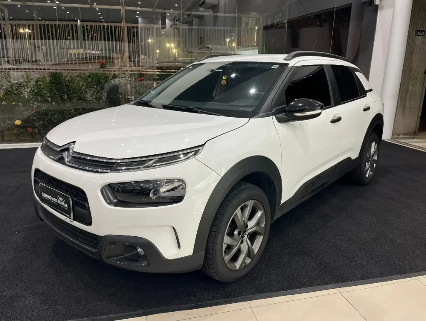 galeria C4 CACTUS