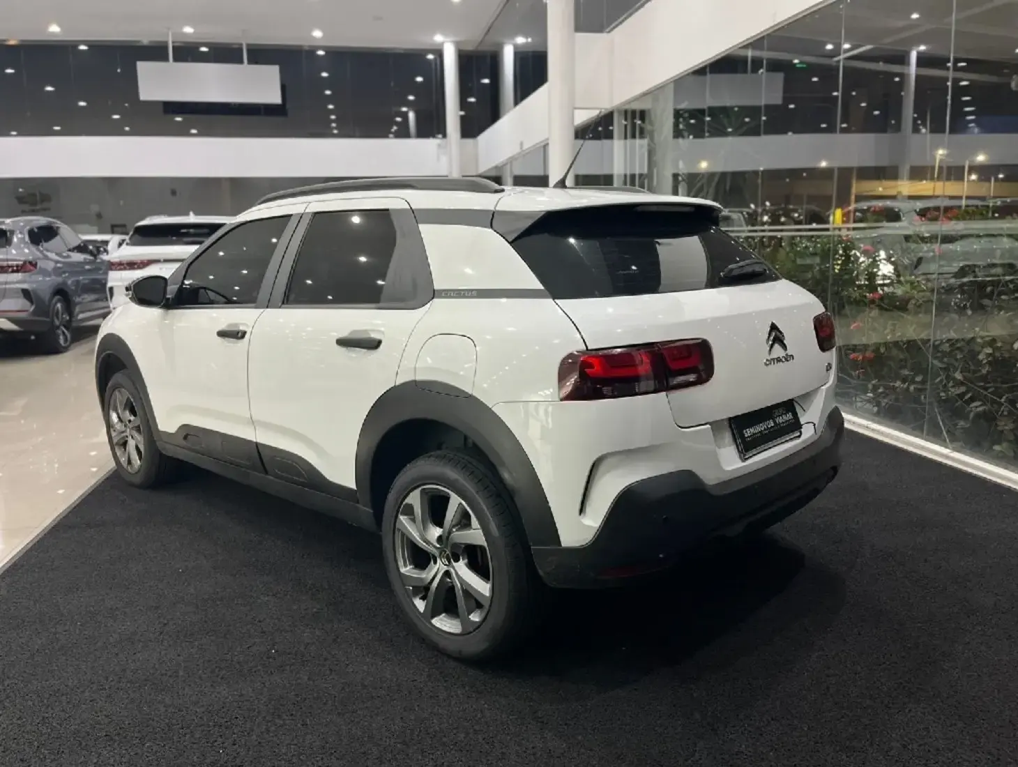 galeria C4 CACTUS