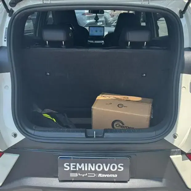 Byd DOLPHIN MINI 38 KW ELÉTRICO