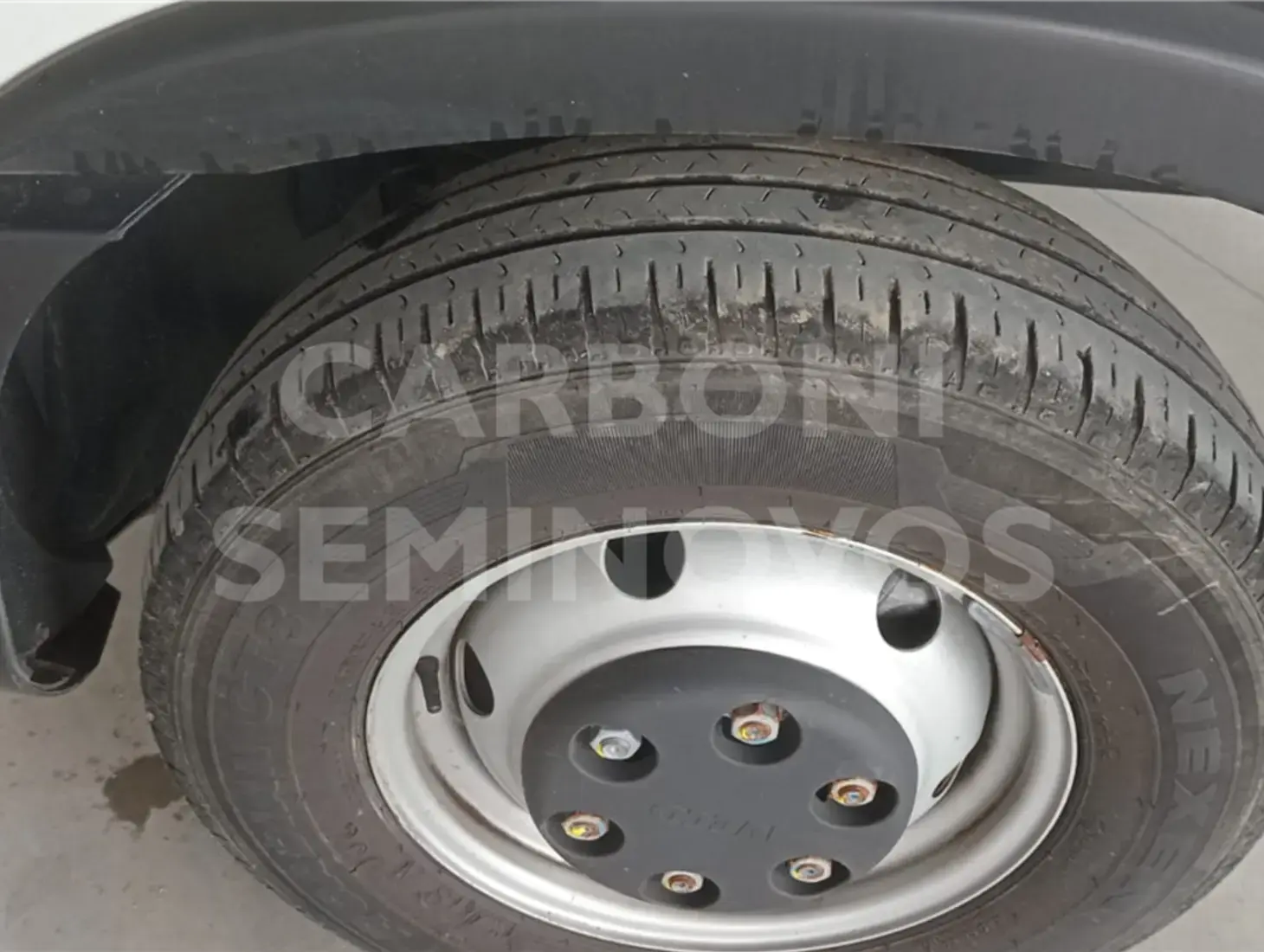 galeria DAILY CHASSI