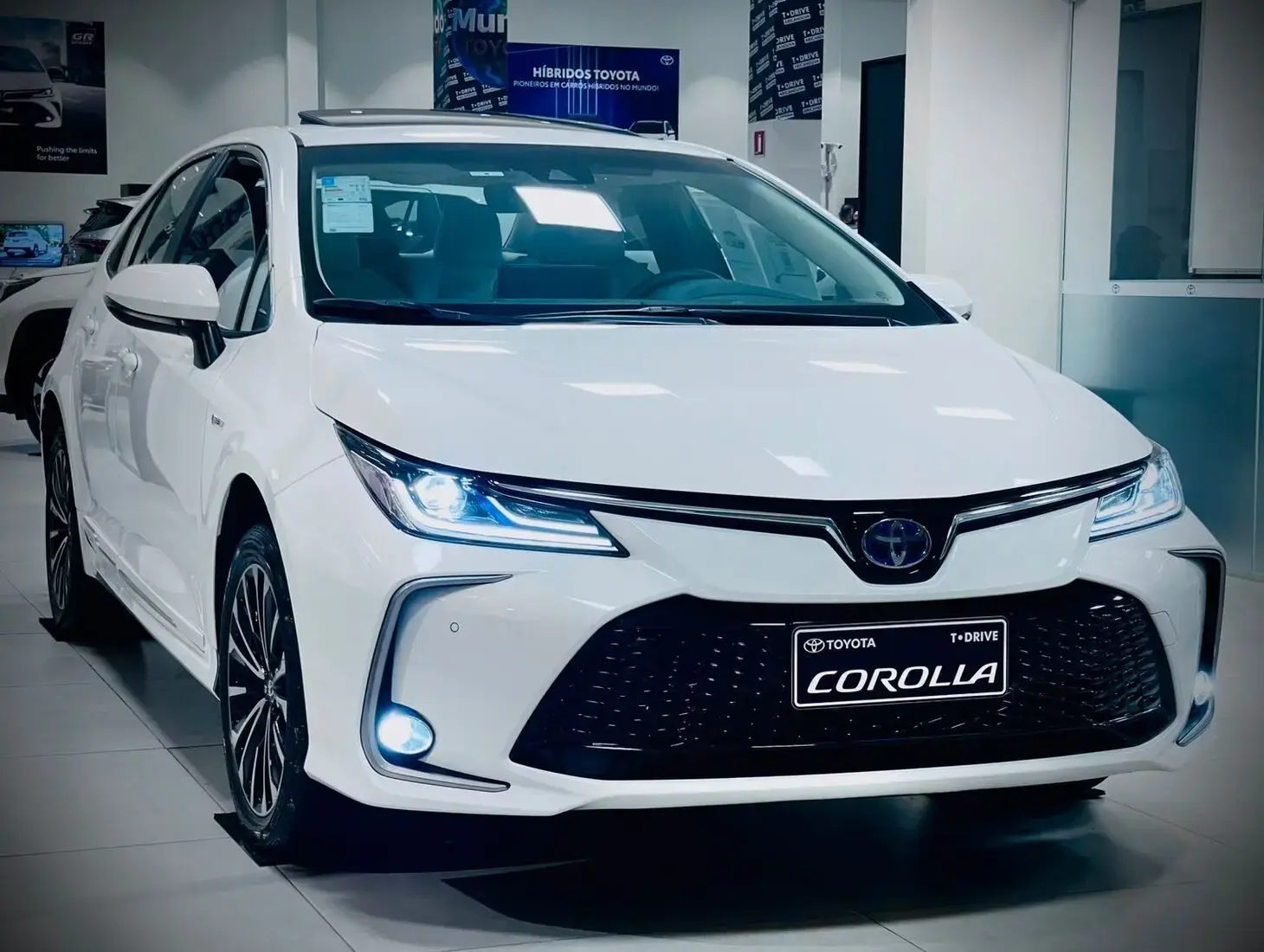 galeria Corolla