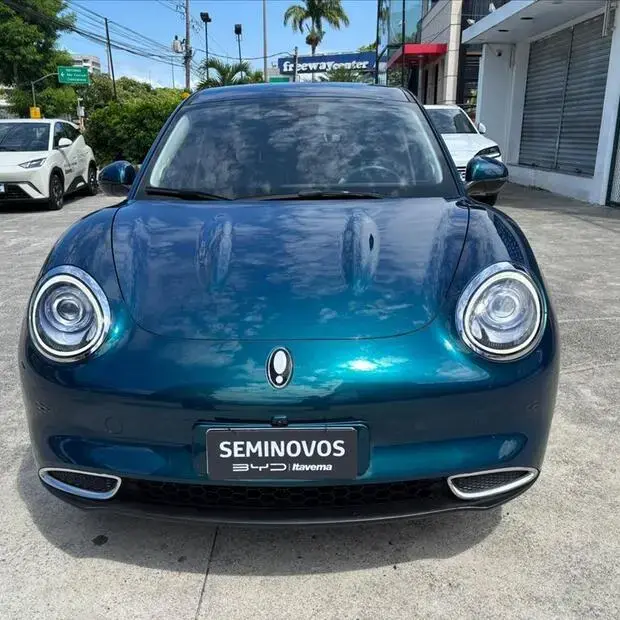 Gwm ORA 03 48 KW ELÉTRICO SKIN