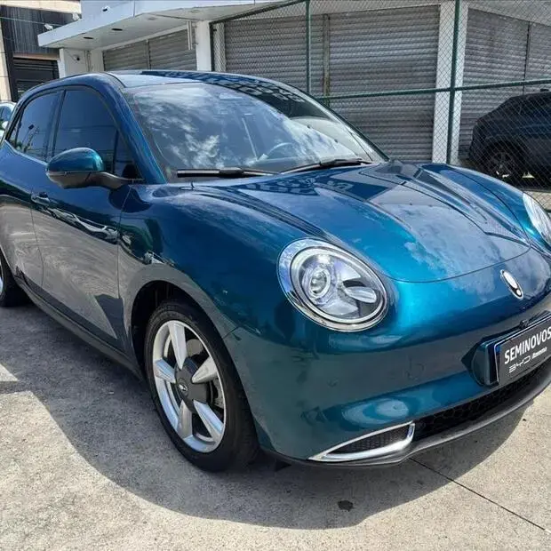 Gwm ORA 03 48 KW ELÉTRICO SKIN