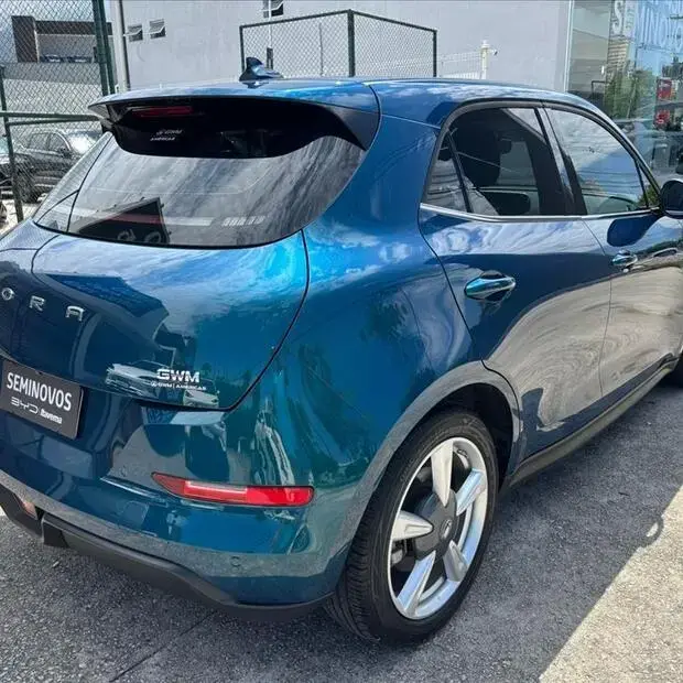 Gwm ORA 03 48 KW ELÉTRICO SKIN