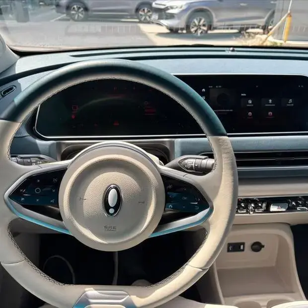 Gwm ORA 03 48 KW ELÉTRICO SKIN