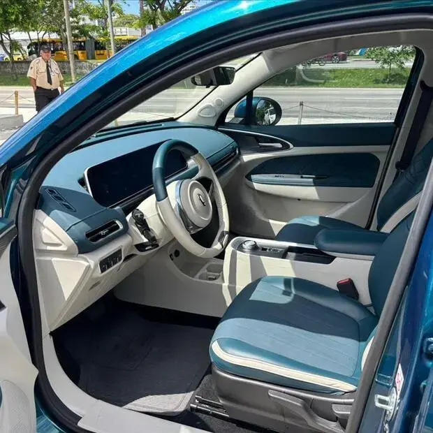 Gwm ORA 03 48 KW ELÉTRICO SKIN