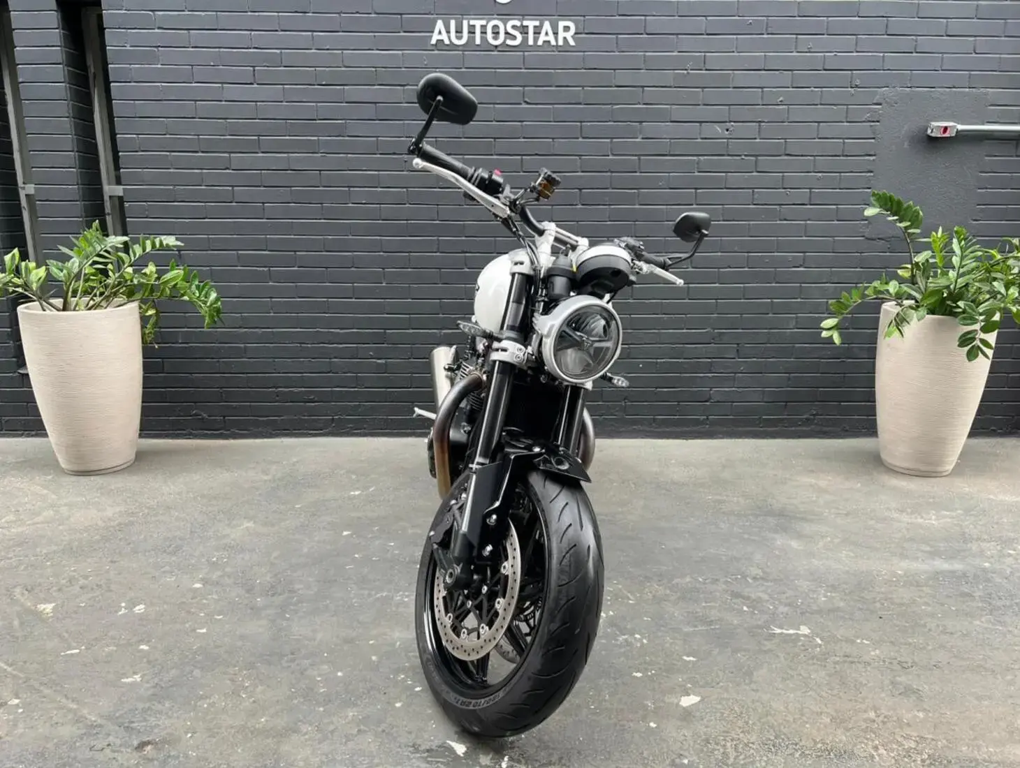 galeria Speed Twin 1200