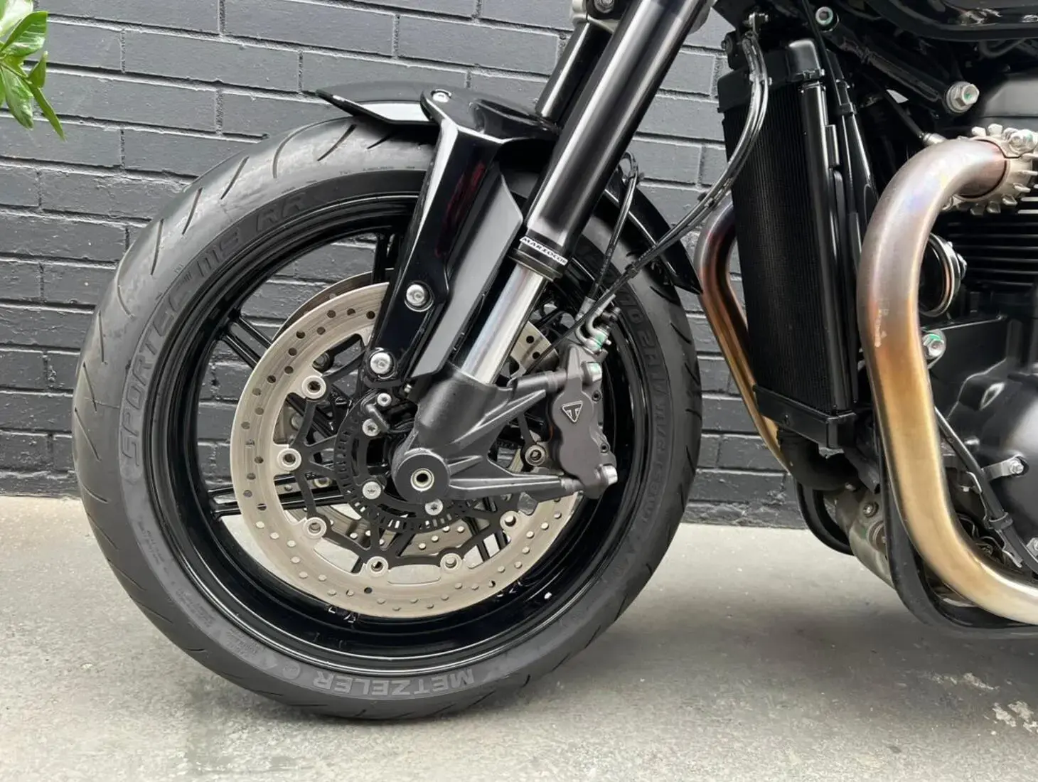 galeria Speed Twin 1200