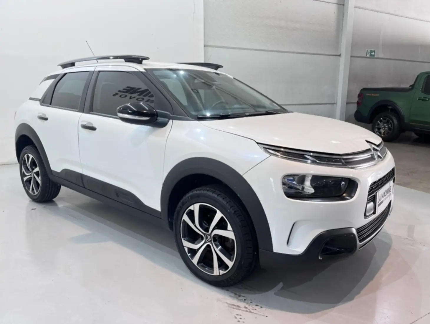 galeria C4 CACTUS
