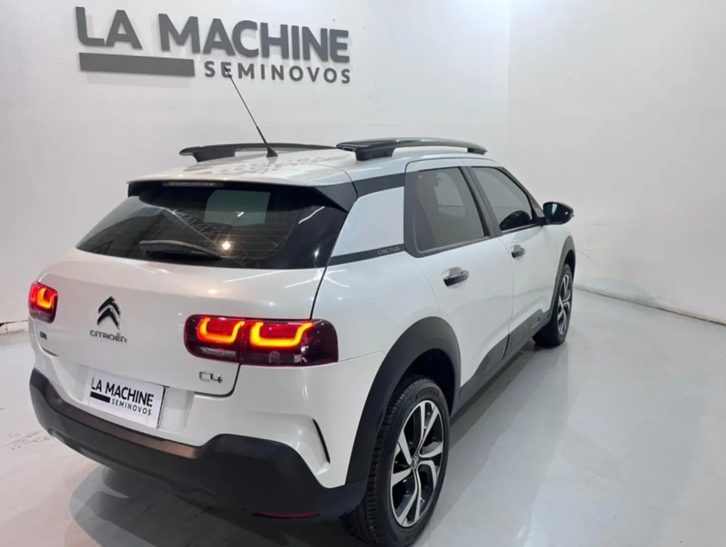 galeria C4 CACTUS