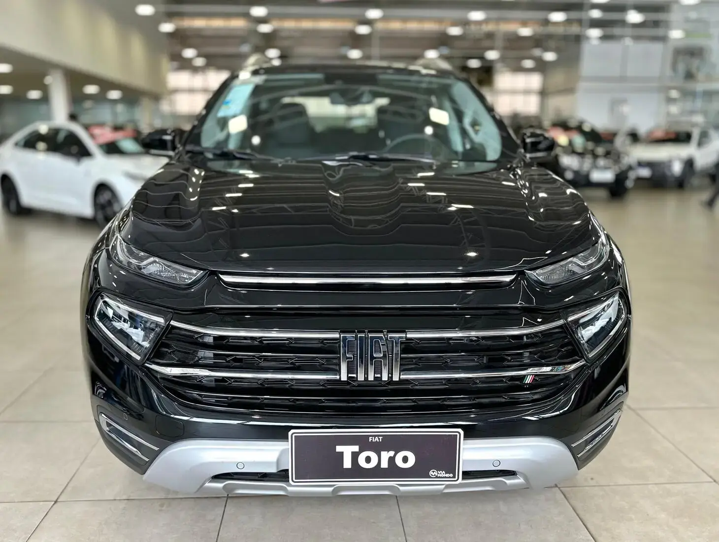 galeria Toro