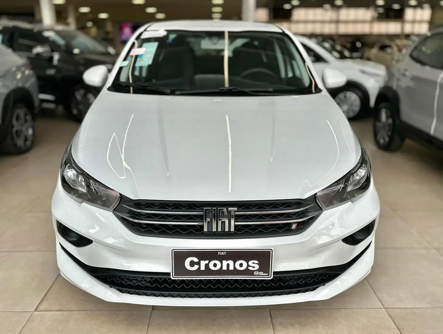 galeria Cronos