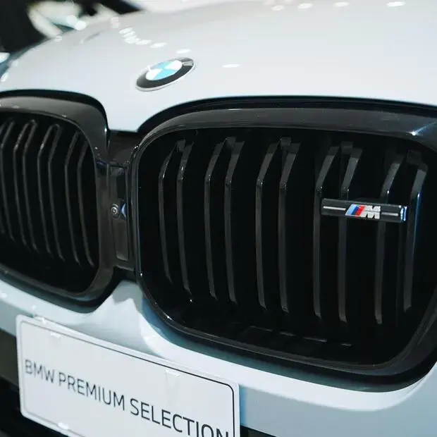 Bmw X4 xDrive30i M Sport 2.0 Turbo (Aut.)