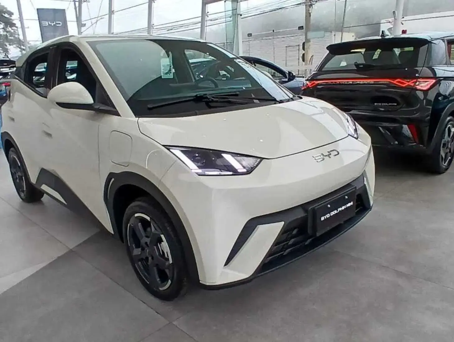 galeria Dolphin Mini