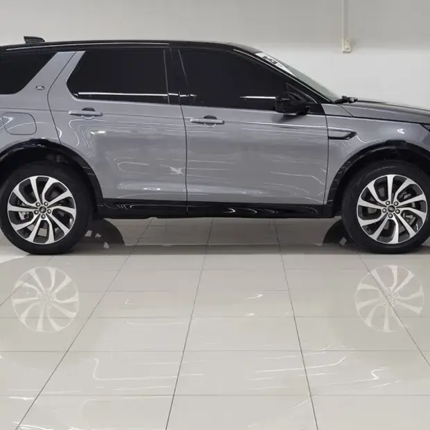 Land Rover Discovery Sport SE Dynamic 2.0 P250 Flex (Aut.)