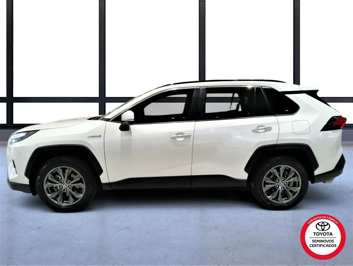 galeria RAV4