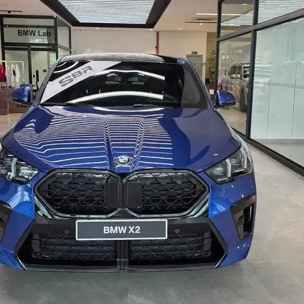 Bmw X2 XDrive20i M Sport
