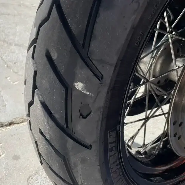 Harley Davidson Dyna Street Bob