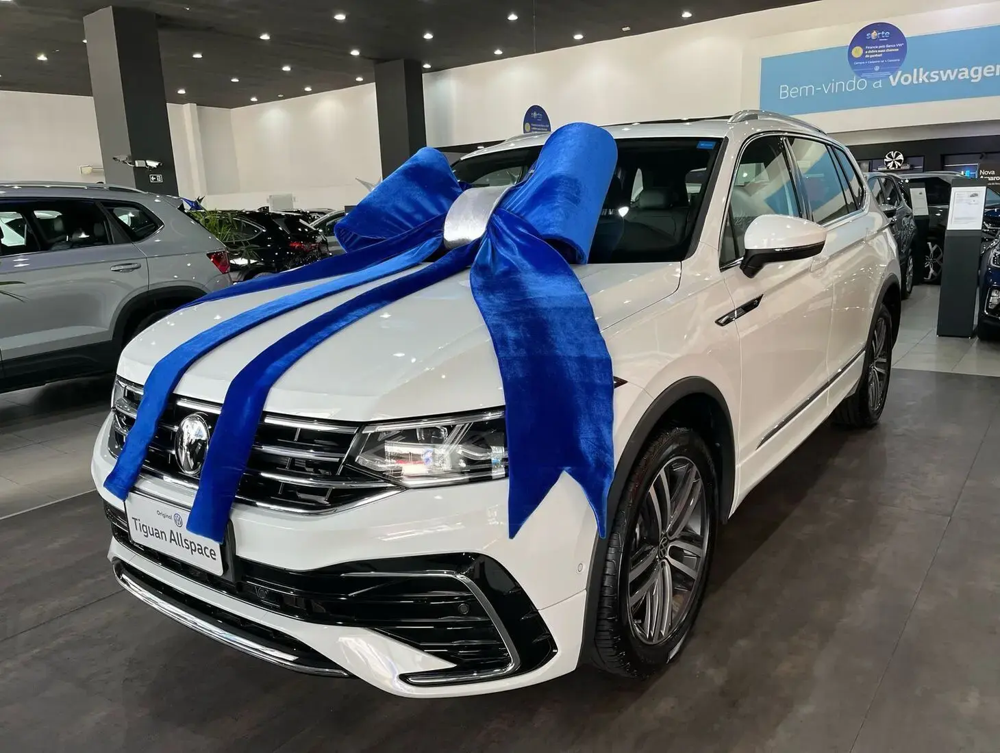 galeria Tiguan