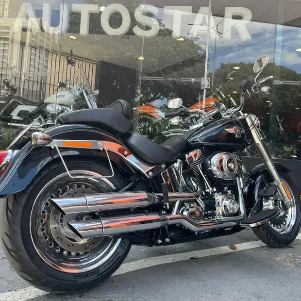 Harley Davidson Fat Boy FLSTF Fat Boy FLSTF