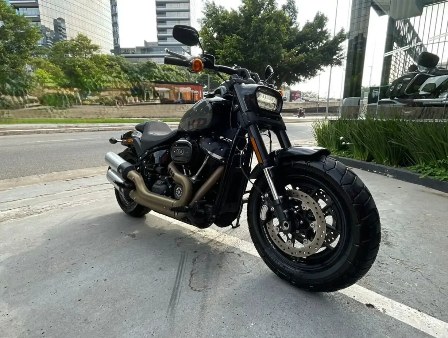 galeria FAT BOB FXFBS