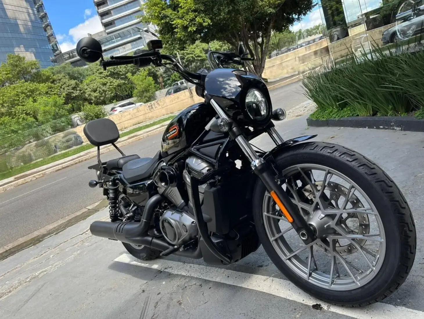 galeria Nightster Special