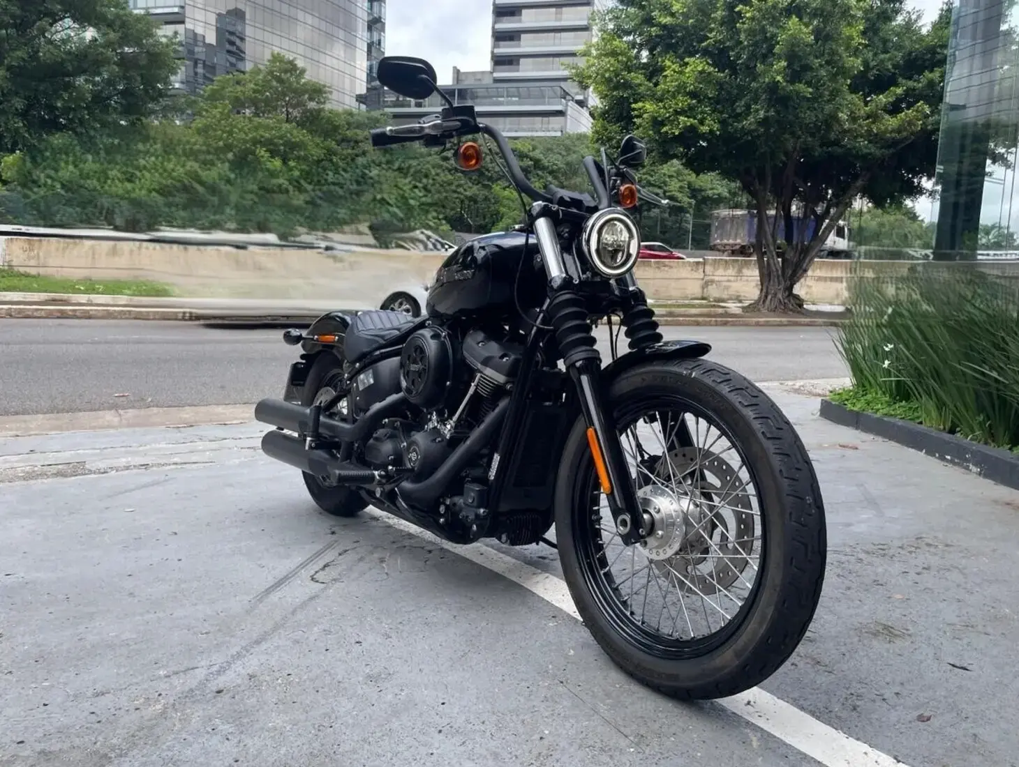 galeria Street Bob