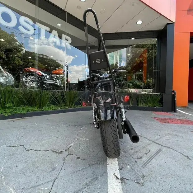 Harley Davidson Sportster 1200 Custom