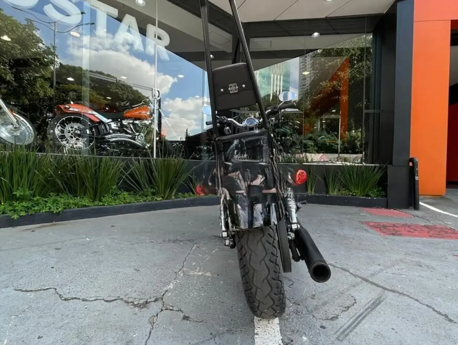 galeria Sportster 1200