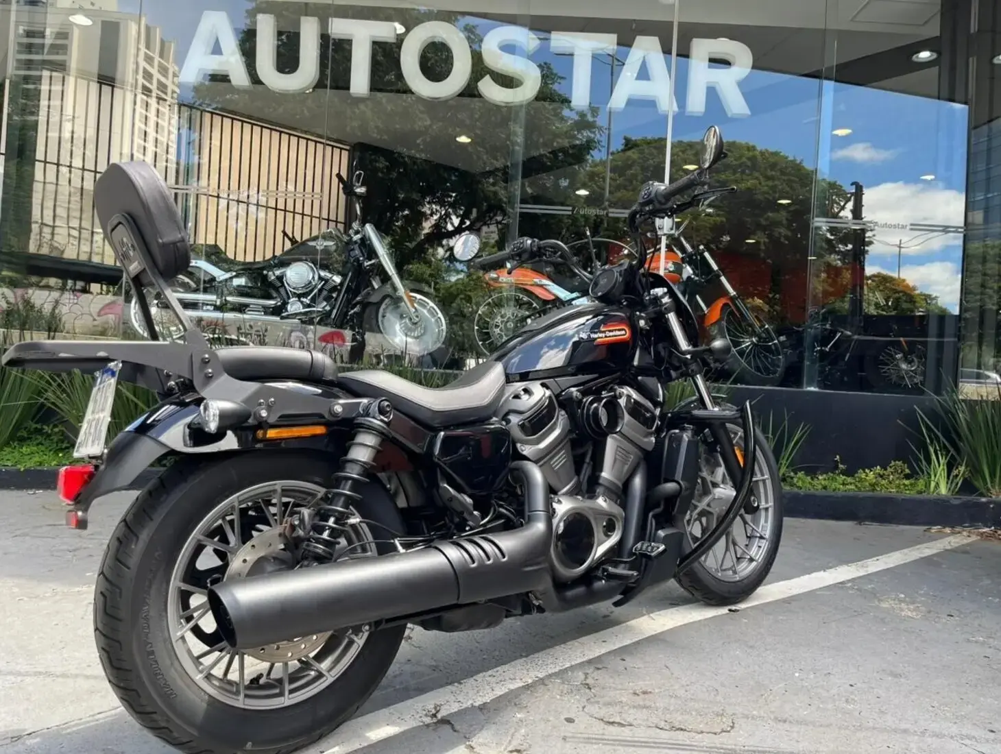 galeria Nightster Special