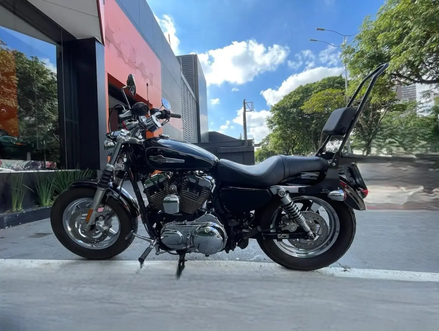 galeria Sportster 1200