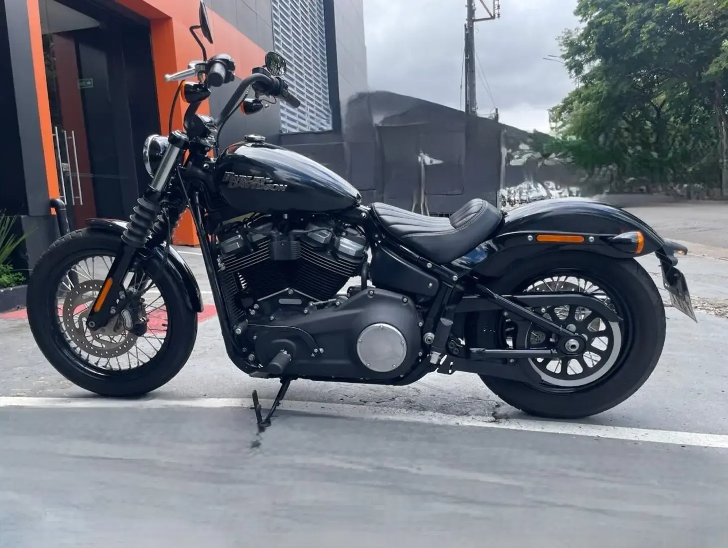 galeria Street Bob