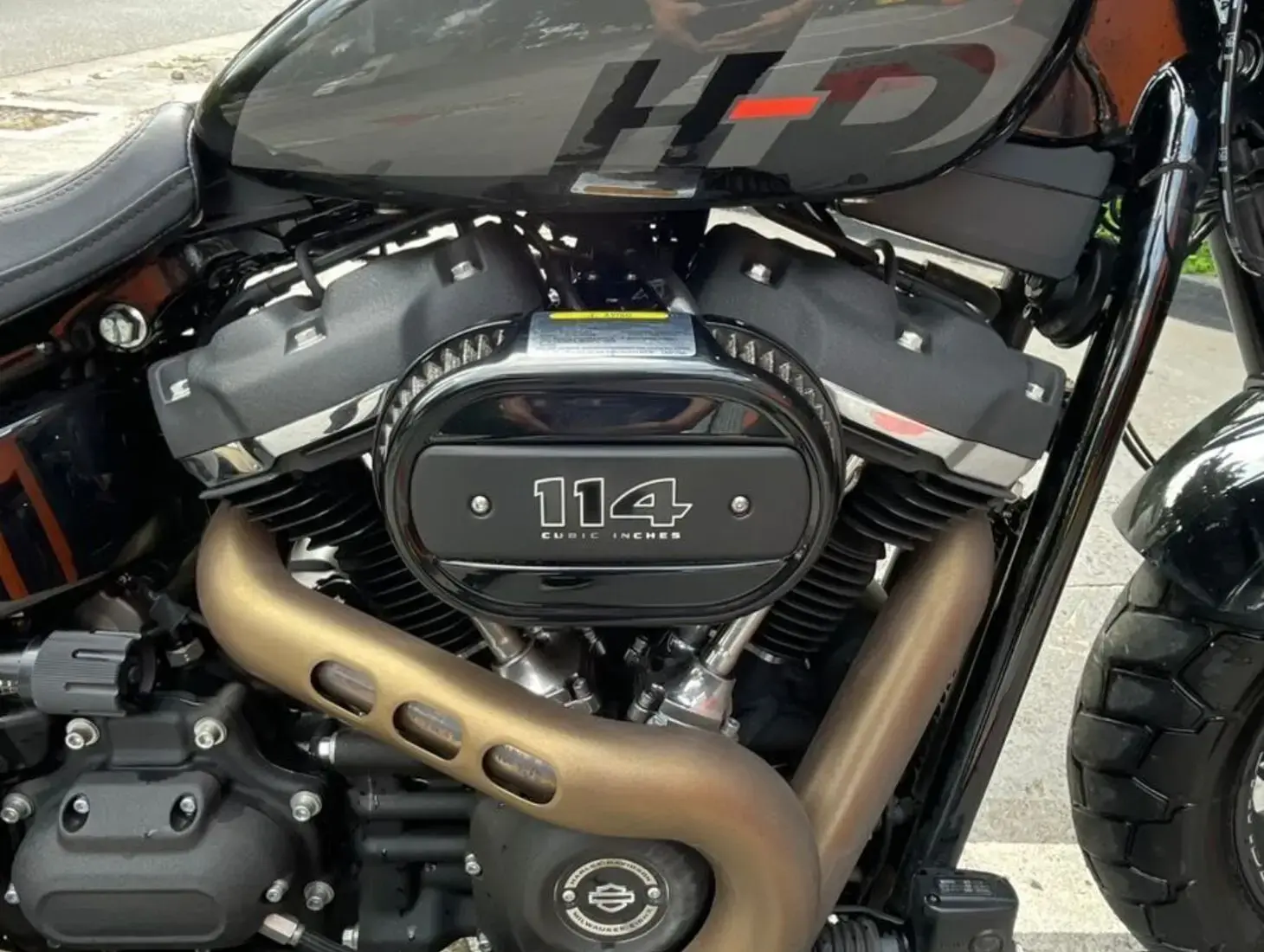 galeria FAT BOB FXFBS