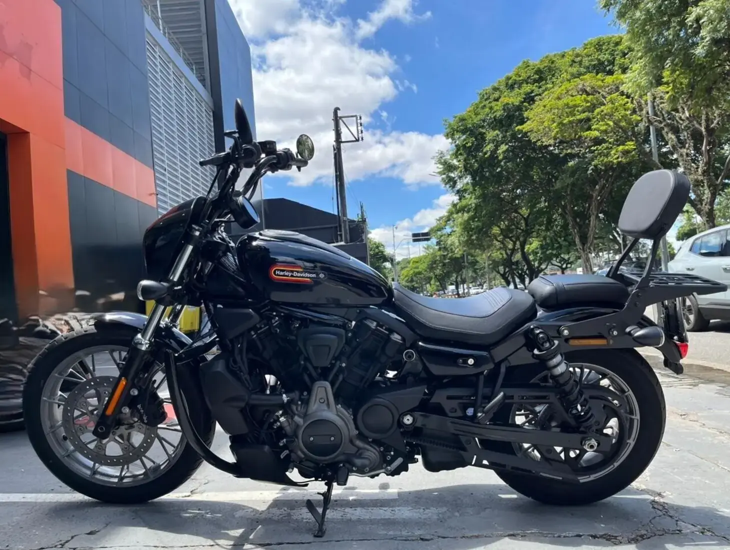 galeria Nightster Special