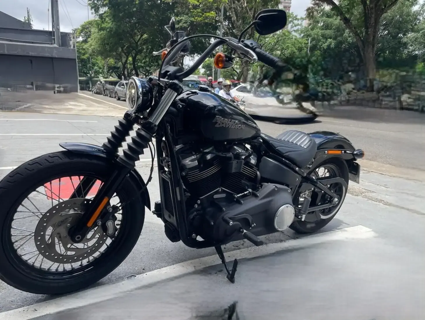 galeria Street Bob