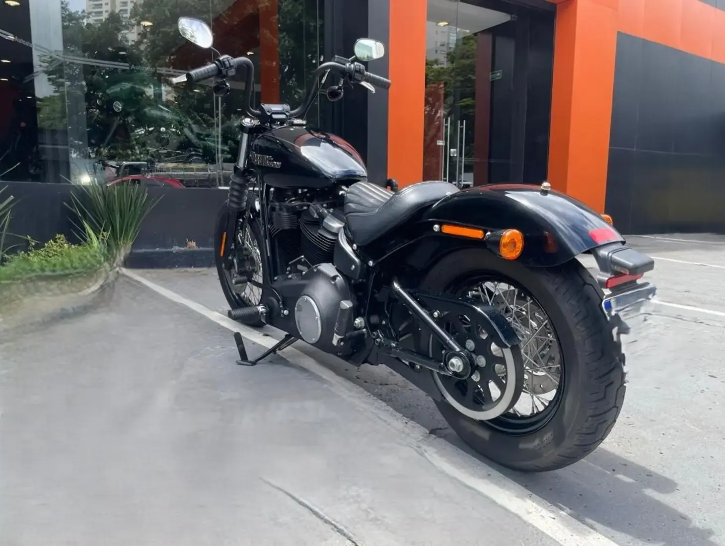 galeria Street Bob