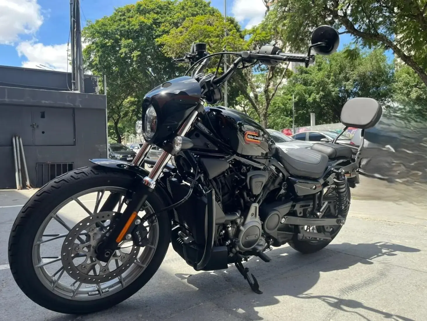 galeria Nightster Special