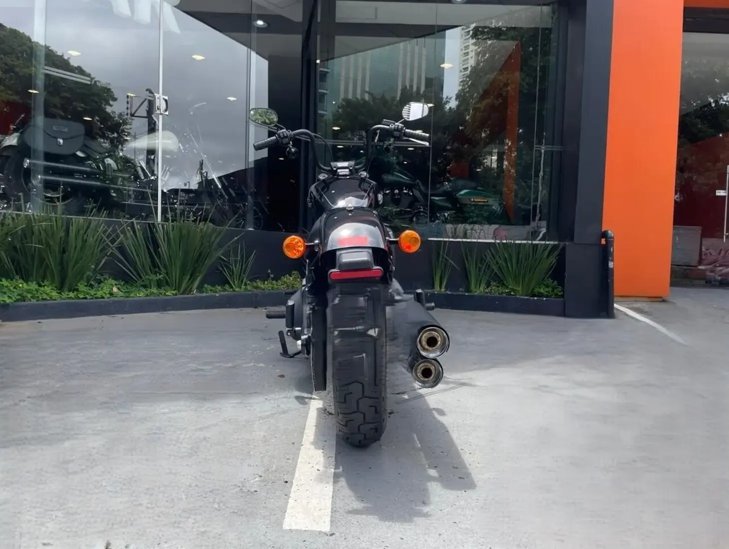 galeria Street Bob