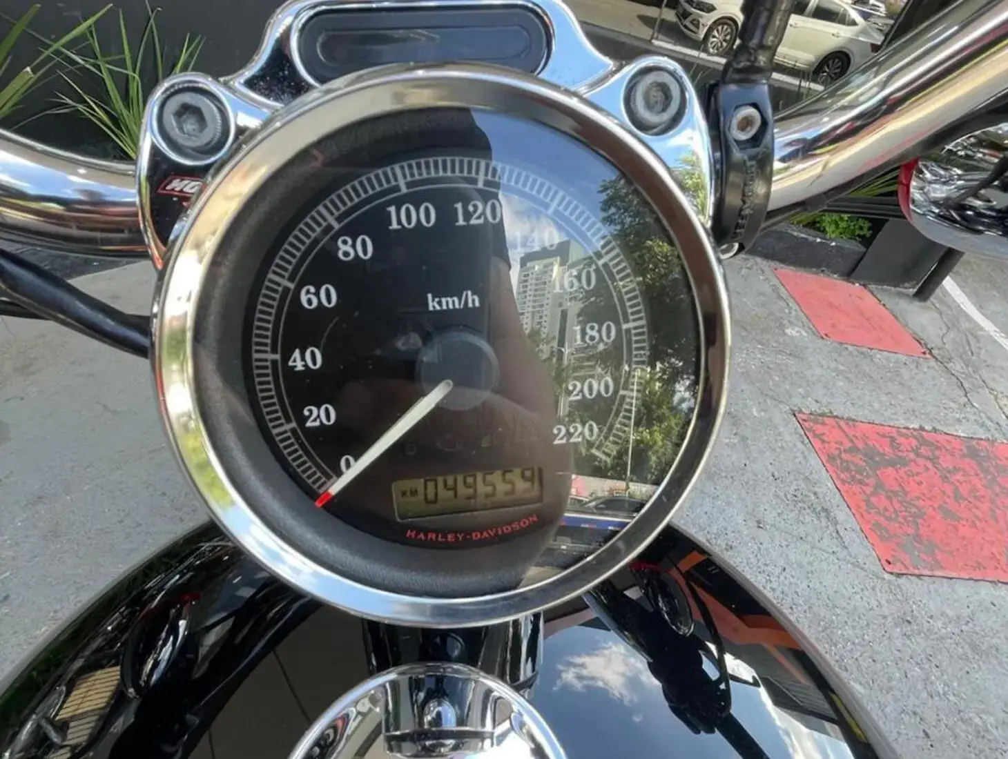 galeria Sportster 1200