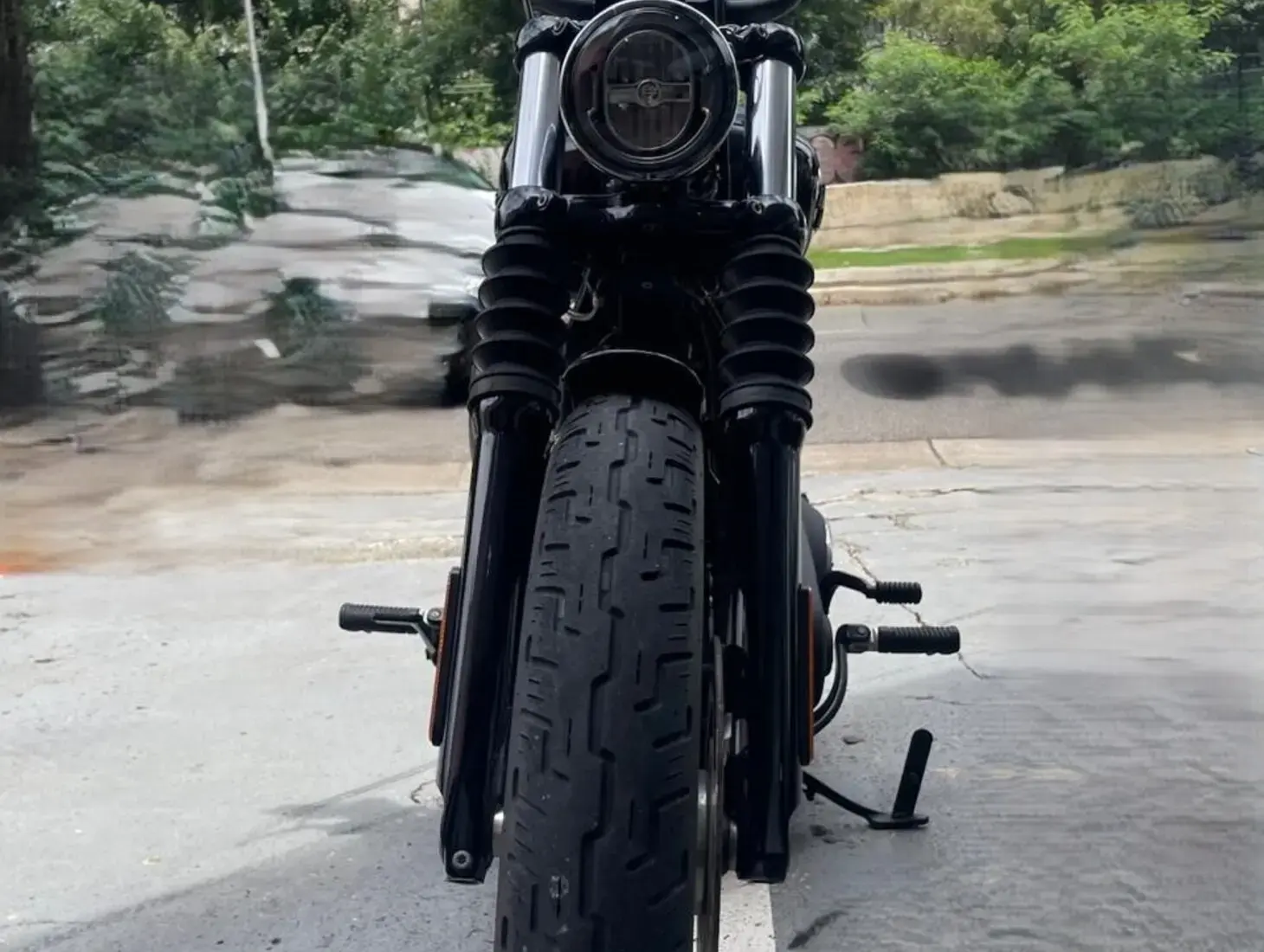 galeria Street Bob