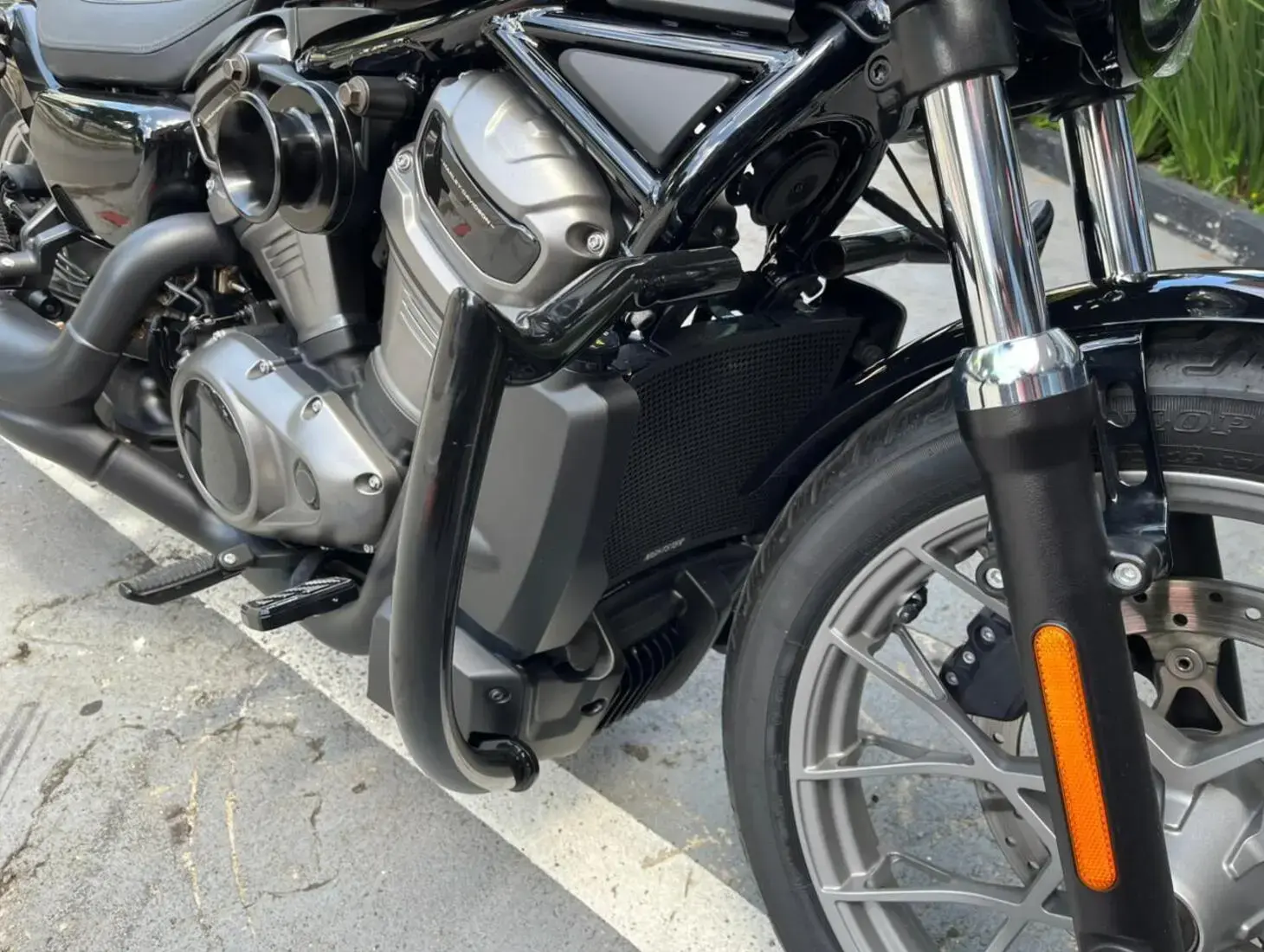 galeria Nightster Special