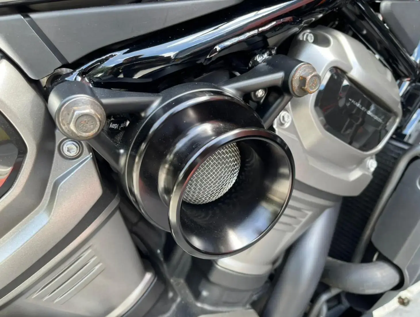 galeria Nightster Special